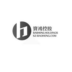 宝鸿控股 BAOHONGHOLDINGS SZ-BAOHONG.COM B - 商标 - 爱企查