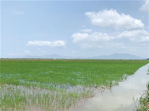 航拍中国：滩涂是江河与大海的独特创造，盐城湿地成为候鸟的驿站