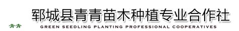 园林绿化苗木种植技术措施-郓城县青青苗木种植专业合作社