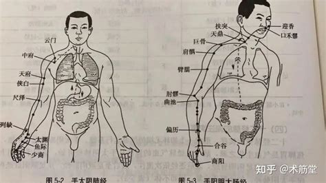 胃胀气按摩图片,助消化哪儿,胃胀气在哪个地方图片(第13页)_大山谷图库