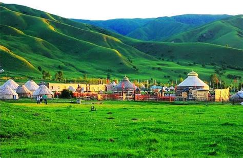 去新疆，遇见好时光——万驼至尊有机牧场_伊犁_风景_草原