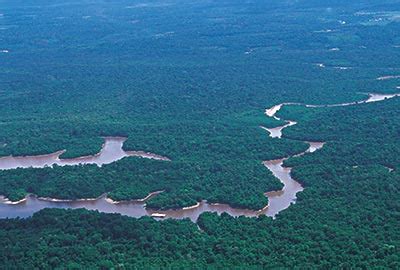航拍亚马逊雨林采伐活动触目惊心：愈演愈烈|文章|中国国家地理网
