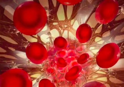 异基因造血干细胞移植骨髓配型及检查结果如何看？_医学界-助力医生临床决策和职业成长