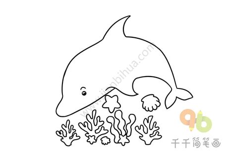 海豚动物简笔画图片