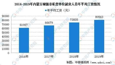 2019年内蒙古城镇非私营单位就业人员年平均工资情况：年平均工资为80563元-中商产业研究院数据库