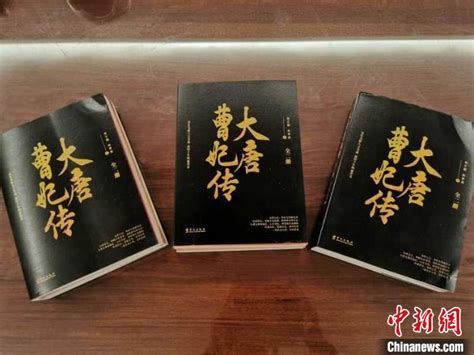 大唐第一庄(晨风天堂)全本在线阅读-起点中文网官方正版