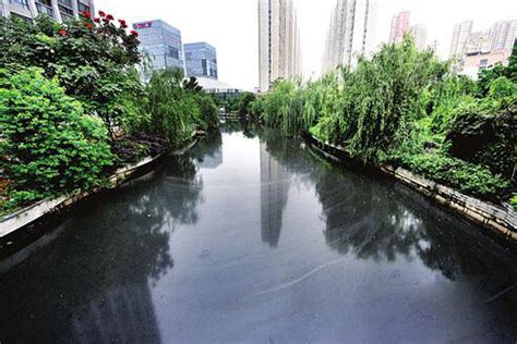 生态环境部：去年36个城市黑臭水体整治投资1140多亿元