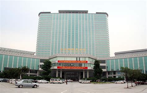 高级双人房 - 龙泉国际大酒店有限公司