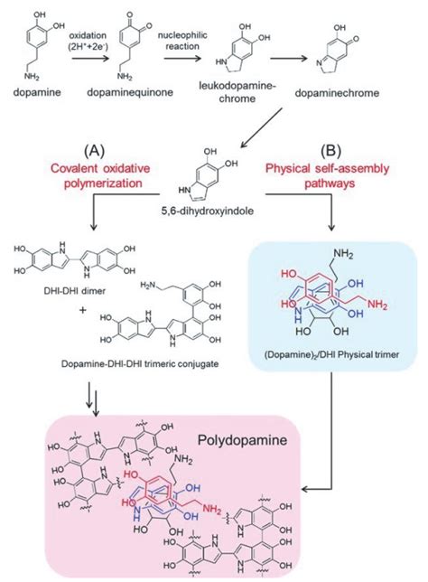 多巴胺_CAS:51-61-6_多巴胺作用_多巴胺是什么_多巴胺用法 - 960化工网