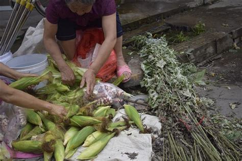 湖北宜昌，农民在公路边摆摊卖烤玉米，3元一个，开动脑筋挣钱