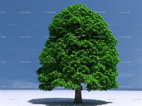 一棵枝繁叶茂的大树元素素材下载-正版素材401250553-摄图网