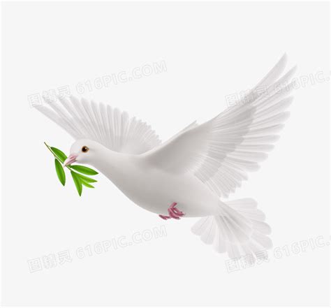 白色飞跃的和平鸽PNG图片素材下载_和平鸽PNG_熊猫办公