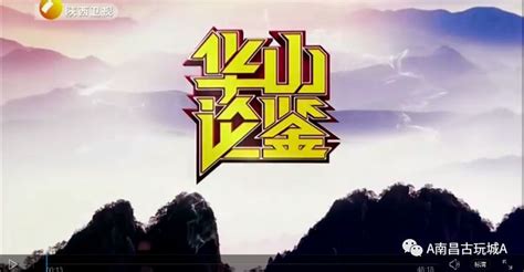 华山论鉴 （2021-08-08） - 陕西网络广播电视台