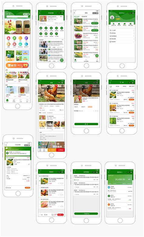 大田智慧农业app下载-大田智慧农业下载v1.1.6.0 安卓版-绿色资源网