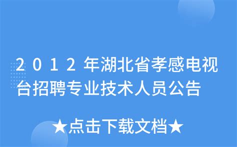 2012年湖北省孝感电视台招聘专业技术人员公告