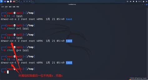 第10节Kali Linux系统调整文件及目录权限_kali修改文件权限-CSDN博客