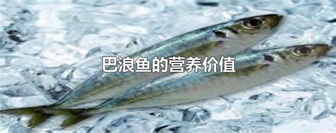 巴浪鱼名气大得很，但巴浪鱼同时又是很多鱼的泛称|巴浪鱼|鱼|中文名_新浪新闻