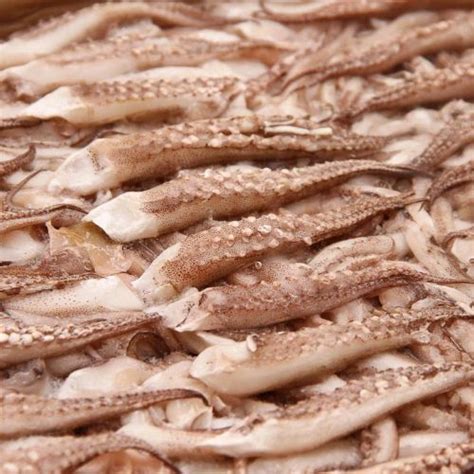 初鲜鲜冻鱿鱼头鱿鱼须 400g 5-7只 铁板鱿鱼 涮火锅食材 国产海鲜-商品详情-光明菜管家