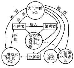 二氧化硫转化为硫单质