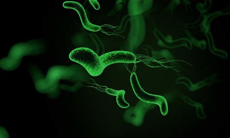 幽门螺杆菌：藏在胃里的Ⅰ类致癌物，超7亿人或已中招感染_互联网_艾瑞网