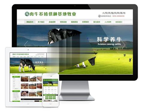 易优cms肉牛养殖供种基地牧业公司网站模板源码 带手机端 - 懒人之家