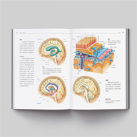 当当网人体解剖学彩色结构和功能图谱解刨书籍实用教材医学类系统系解构造专业图鉴江苏凤凰科技出版社骨骼肌肉体表3d_虎窝淘