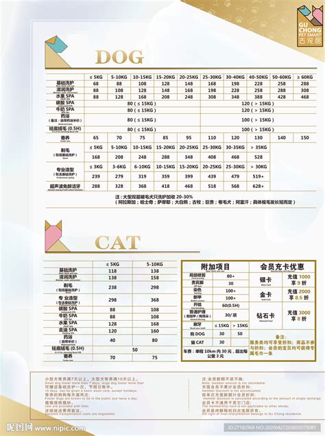 上海宠物店加盟要多少钱(宠物店加盟费用明细表) - 誉云网络