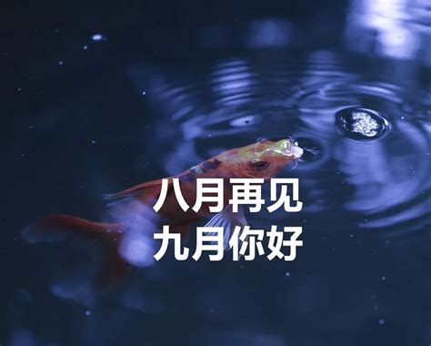 八月风图片
