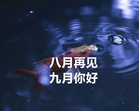 唯江上清风与山间明月——浅析文学作品中的“月光”