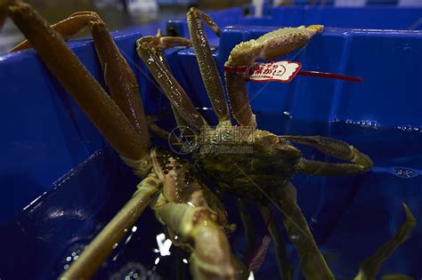 圣诞岛：六成华人只有30%承认祖先，螃蟹满地爬却不让吃 - 知乎