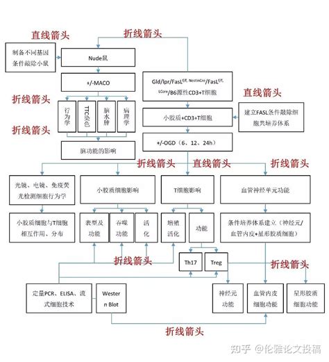 路线图怎么画图片