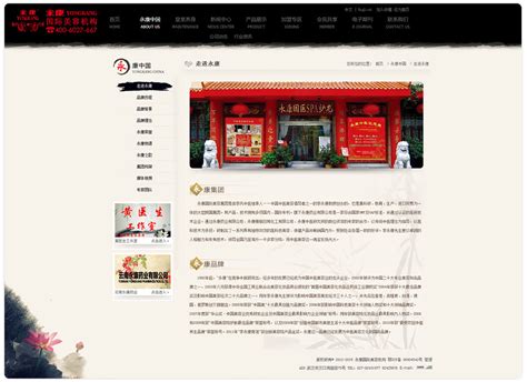 永康国际美容集团 - 企业网站 - 武汉网站建设_网站设计_网站制作_小程序开发-金百瑞公司