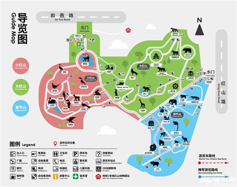 2024红山森林动物园门票价格及优惠政策(附游玩攻略)|南京红山森林动物园|南京动物园|南京野生动物园|南京萌宠乐园-墙根网