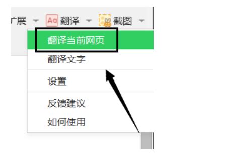 将英文网页翻译成中文_pdf外文文献怎么快速翻译整篇 - 随意云