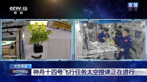 中国人的“太空菜园”种了啥？揭秘→_澎湃号·政务_澎湃新闻-The Paper