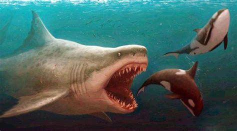 夺命五头鲨：深海出现五头鲨鱼，能将飞机拉下水，疯狂攻击人类！_腾讯视频}