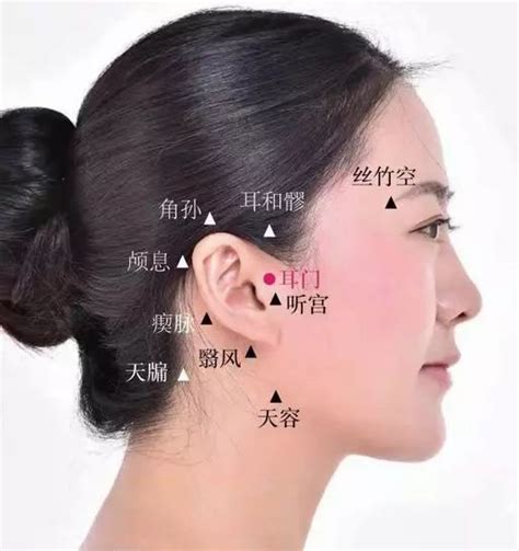 耳部穴位图图片