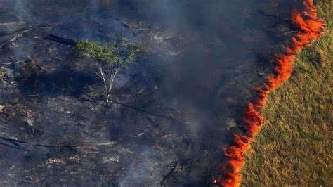 亚马逊雨林大火肆虐，“地球之肺”伤不起，或是人为因素导致|巴黎协定|刘卫东|大火_新浪新闻