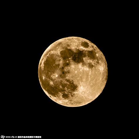 月圆下树林高清图片下载-正版图片500117101-摄图网