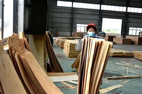 广西崇左宁明县2022年木材企业产值约35亿元-中国木业网