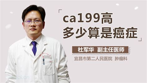 糖类抗原199单克隆抗体（CA199-McAb） - 郑州赛图康生物科技有限公司