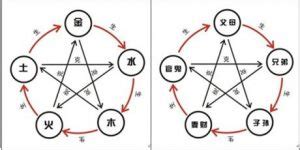 六爻占卜新手如何断卦——六爻断卦流程基础方法 – 易师汇传统文化