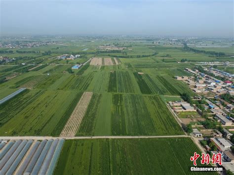 陕西西安：考古发现西周丰镐遗址最大一处制陶遗址-新闻中心-温州网