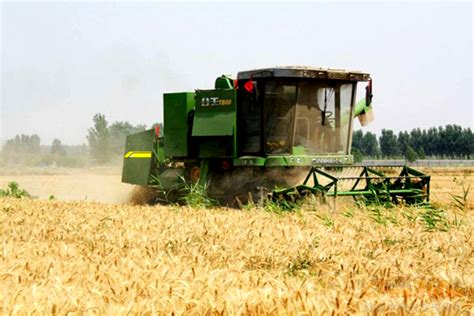 今年三夏各地小麦最佳收割时间表 - 农机资讯