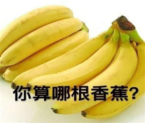 嘲讽图图片