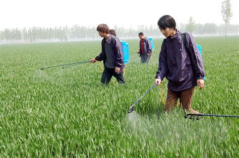 中国十大名牌农药 - 惠农网