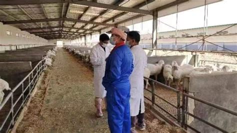 武威市人民政府 科技特派员在行动 3月9日至11日，羊产业科技特派员专家小分队深入企业开展技术指导
