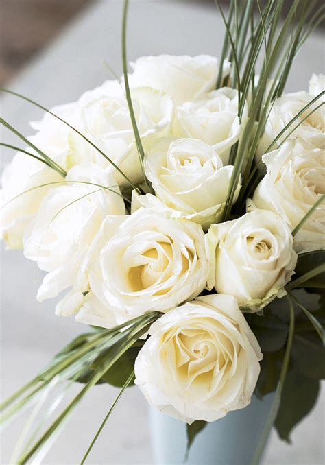 白玫瑰代表什么意思？白玫瑰的花语是什么？-168鲜花速递网
