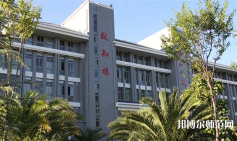 我校科技人员赴临沧市临翔区开展乡村振兴林下有机三七种植动员大会-云南农业大学