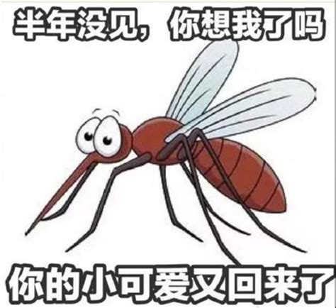 什么血型招蚊子，如何预防蚊子咬？ - 神奇评测